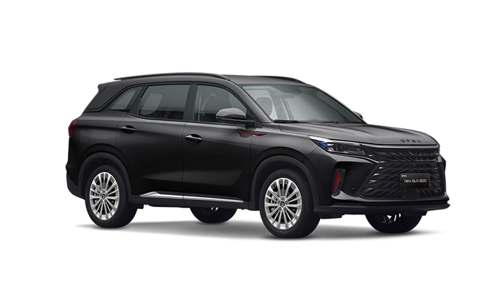 Version 1 - Color selected 5